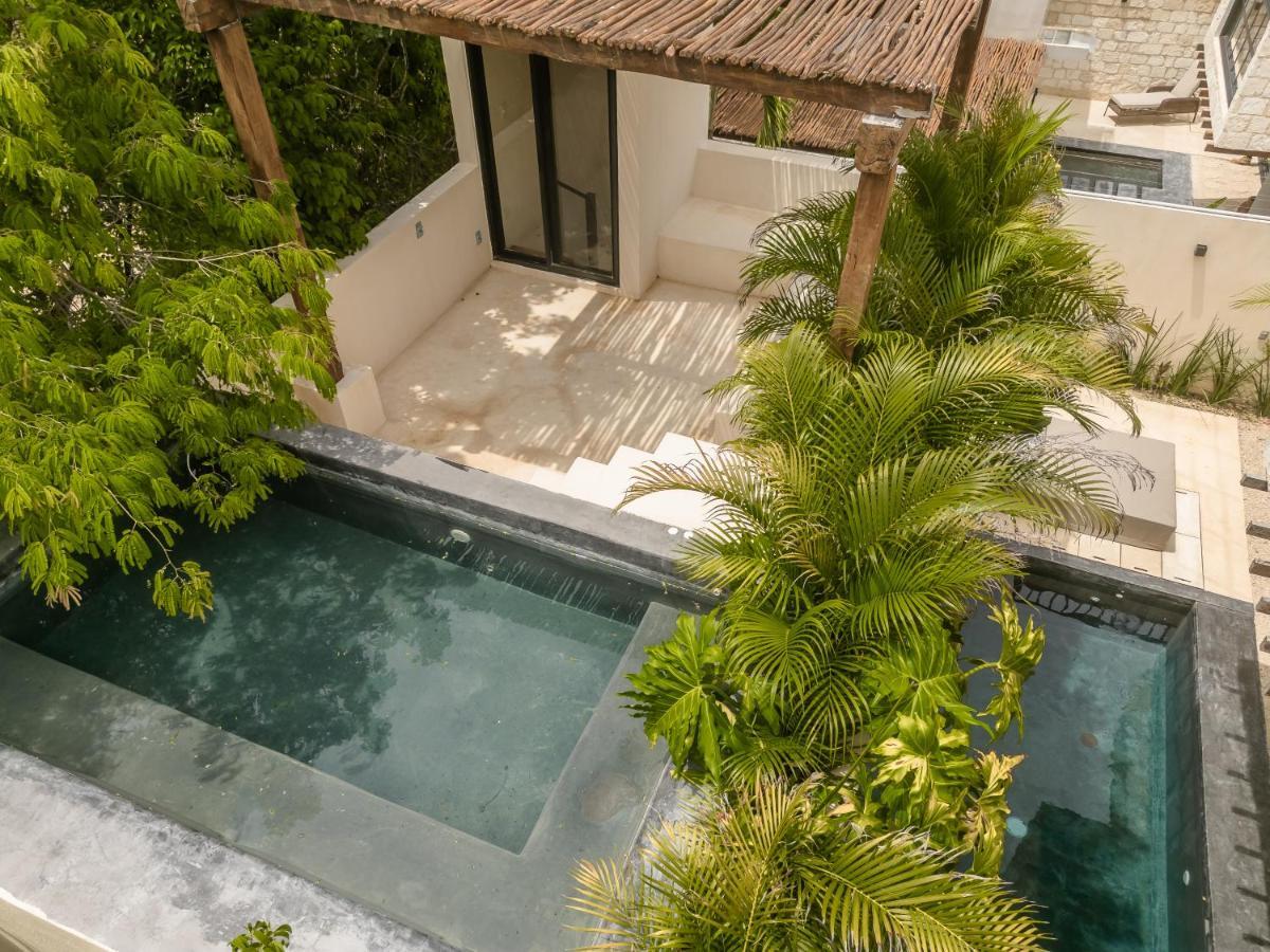فيلا New Aura Jungle Getaway تولوم المظهر الخارجي الصورة