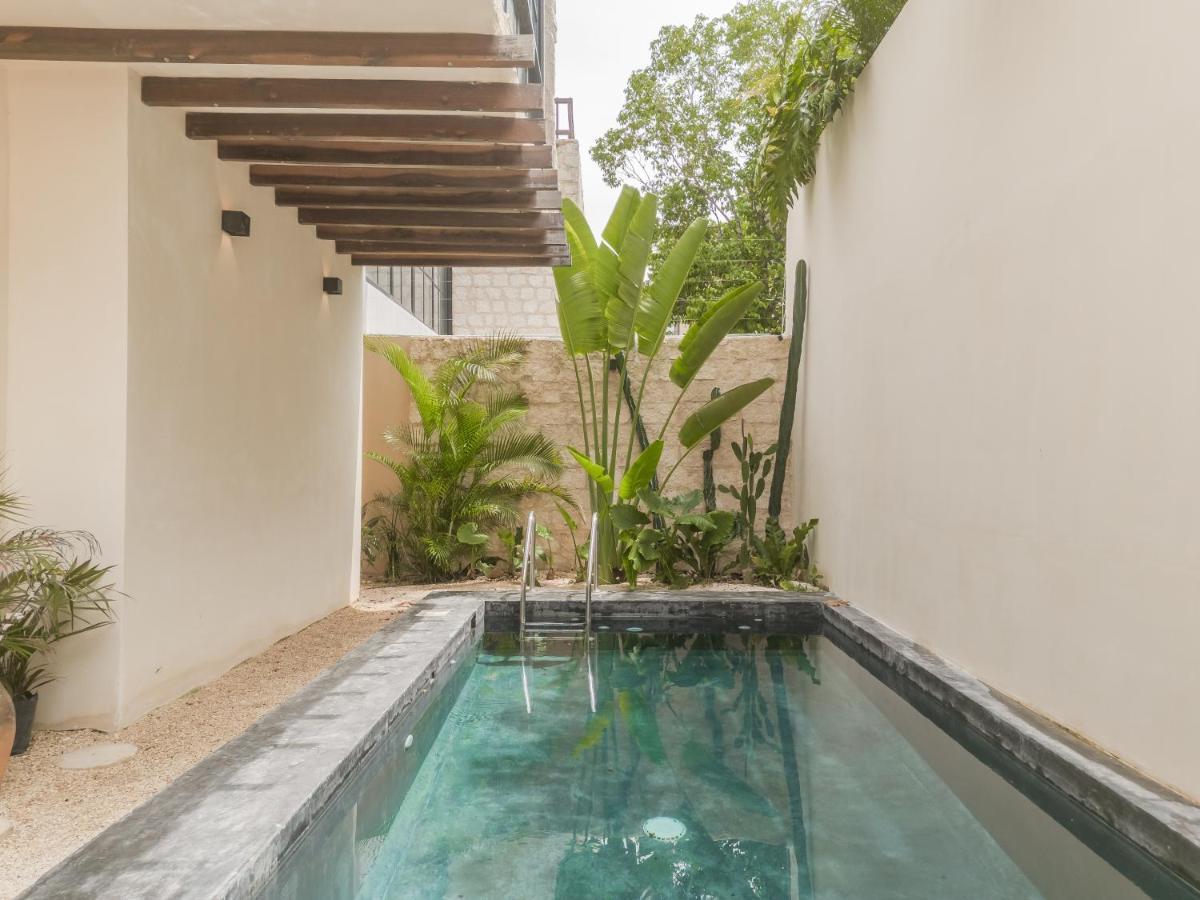 فيلا New Aura Jungle Getaway تولوم المظهر الخارجي الصورة