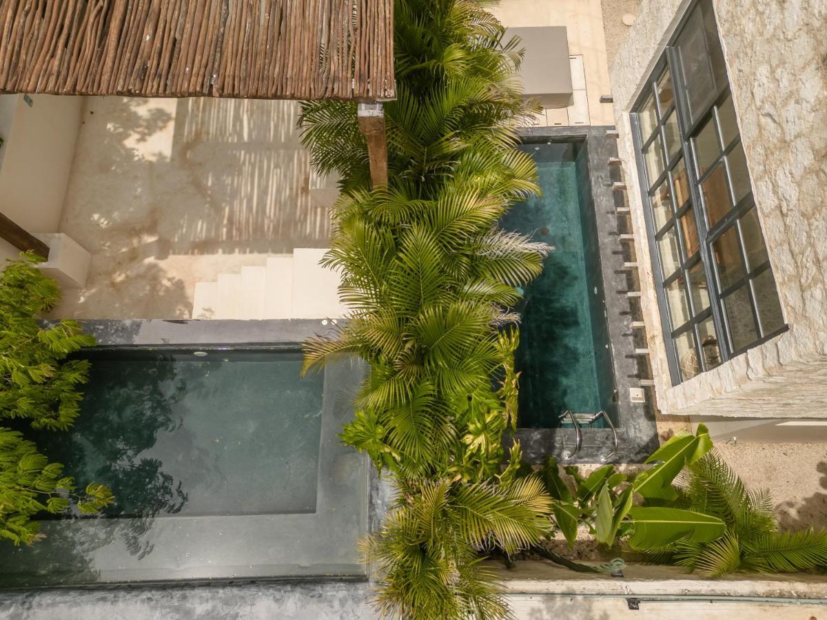 فيلا New Aura Jungle Getaway تولوم المظهر الخارجي الصورة